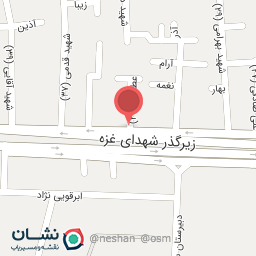 عکس دکتر شیما کبیری نائینی