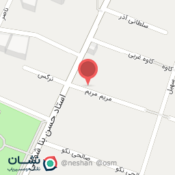 عکس غذای ایرانی شمس