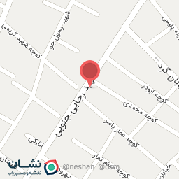 عکس اتوسرویس مهدی