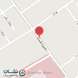 عکس کفش ماهان