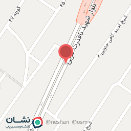 عکس کفش بی نظیر