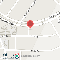 عکس تعویض روغنی رالی