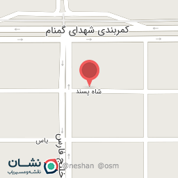 عکس سبزی خرد کنی و  انواع سبزی بسته بندی شده (خانم محمدی)