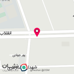 عکس توت بگ  آمیگوس