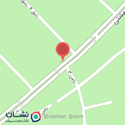 عکس پیتزا میتزا