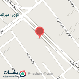 عکس نان فانتزی برادران اورعی