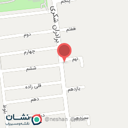 عکس پیتزا سپنتا