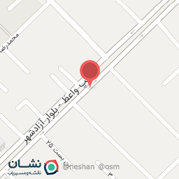 عکس کیف و کفش غدیر