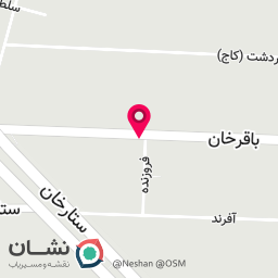 عکس شرکت پردازشگران انفورماتیک مرغابی