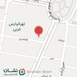 عکس دکتر سیدحسین رضوی-کلیه