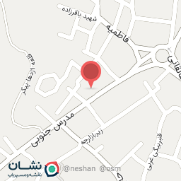 عکس نمایندگی شیرین عسل عباس نیا