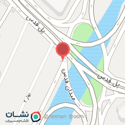 عکس پیتزا رز