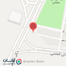 عکس تزئینات اتومبیل دارچه