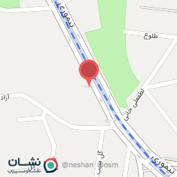 عکس برادران