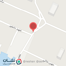 عکس گوشت و مرغ سادات