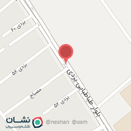 عکس برق اتومبیل ایساتیس