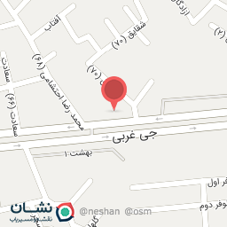 عکس مشاور املاک نگین جی