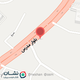 عکس پیتزا بردیا