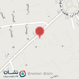 عکس دوربین و دزدگیر مهندس محمودی
