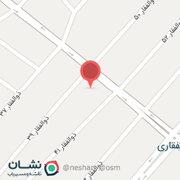 عکس الکتریکی علیزاده