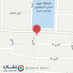 عکس فست فود سوخاری نادر