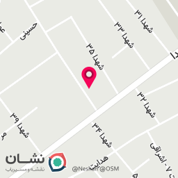 عکس  دکتر پویا اصلانی 