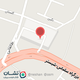 عکس آژانس مهاجر شبستر 