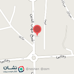 عکس دکتر پردیس نیک منش متخصص کودکان و نوزادان