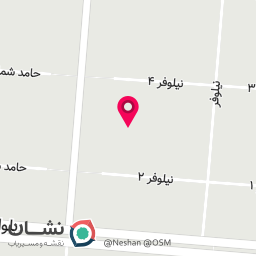 عکس تشریفات