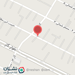 عکس برق اتومبیل غزال 