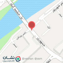 عکس پیتزا الی