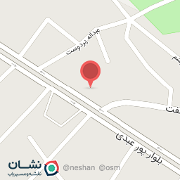 عکس فست‌فود تمشک