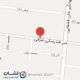 عکس کفش شاهین شعبه باغ نگار