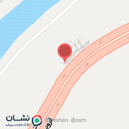 عکس زیتون سید قدرت