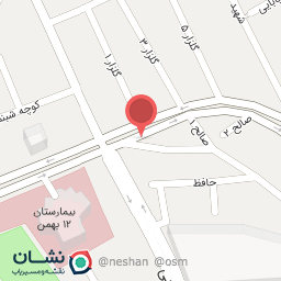 عکس گل فروشی لیلیوم