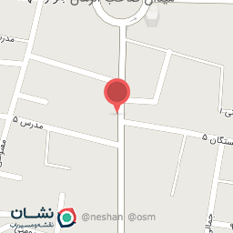عکس کفش نشاطی