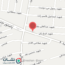 عکس آجیلی ذریه