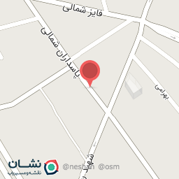 عکس کفش سعید