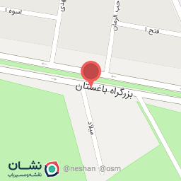 عکس اگزوزسازی‌ امیرحسین محمدی