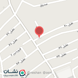 عکس فروشگاه معظمی