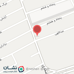 عکس پیتزا آقا جون