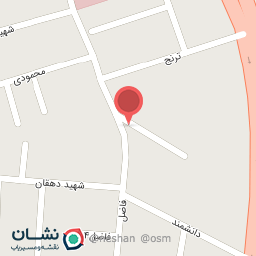 عکس مرغ وپروتئینی کاکلی