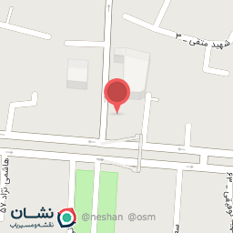 عکس کیف و کفش هامون