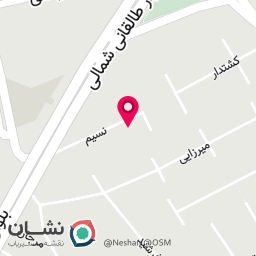 عکس دکتر امیر شیرازی