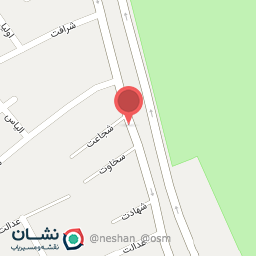 عکس گل فروشی و تزئین ماشین عروس 