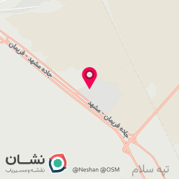 عکس مزار محمود امیری