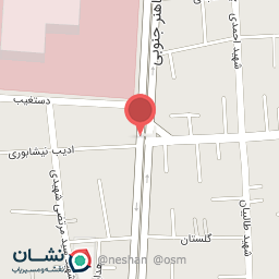 عکس پیتزا بمب شهر