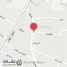 عکس فروشگاه یاران دریان