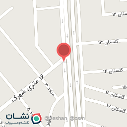 عکس پیتزا گلها