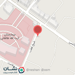 عکس کبابی گیلانه